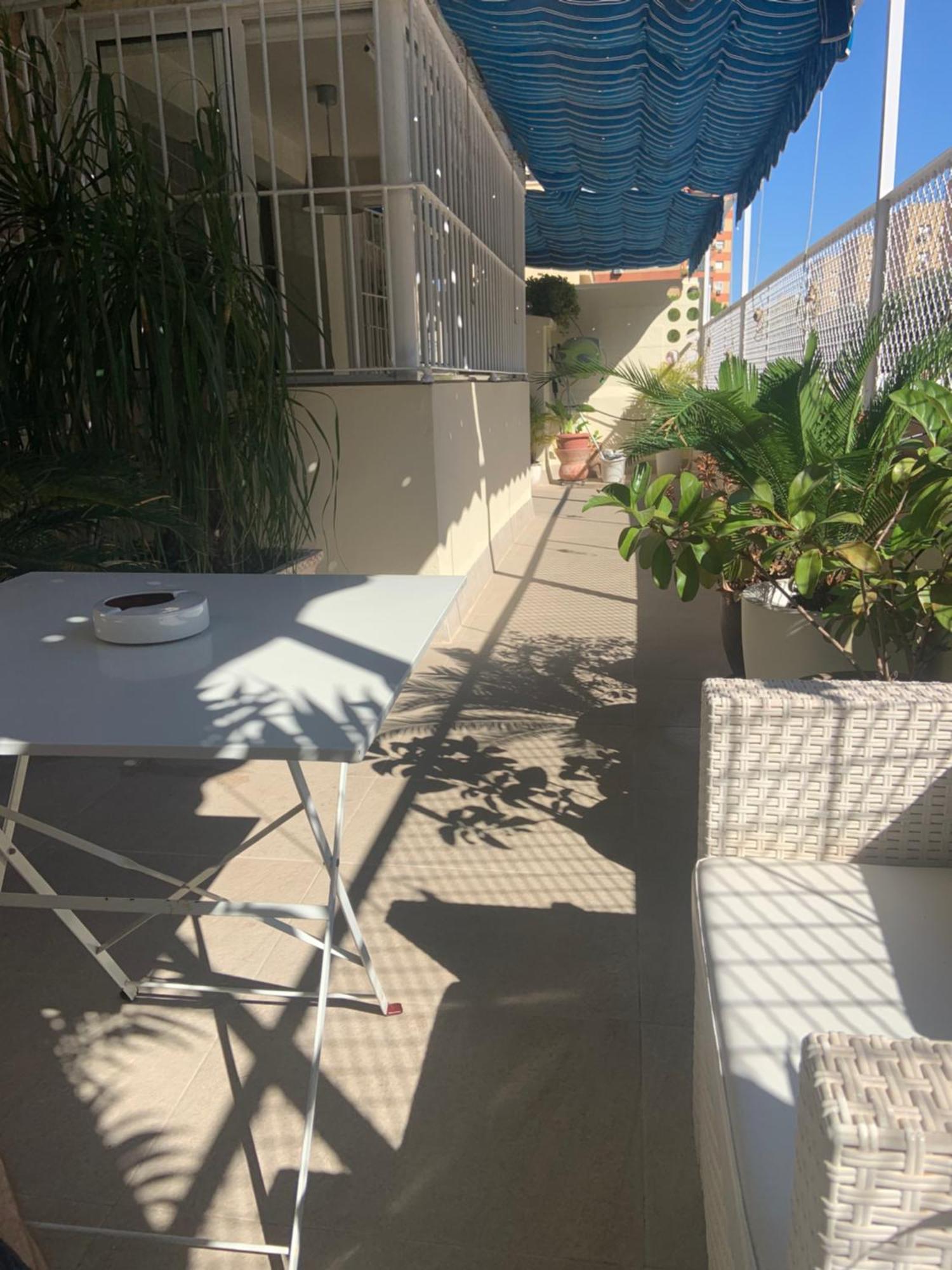Apartamento Jardin Cerca Del Centro Sevilla Exteriér fotografie
